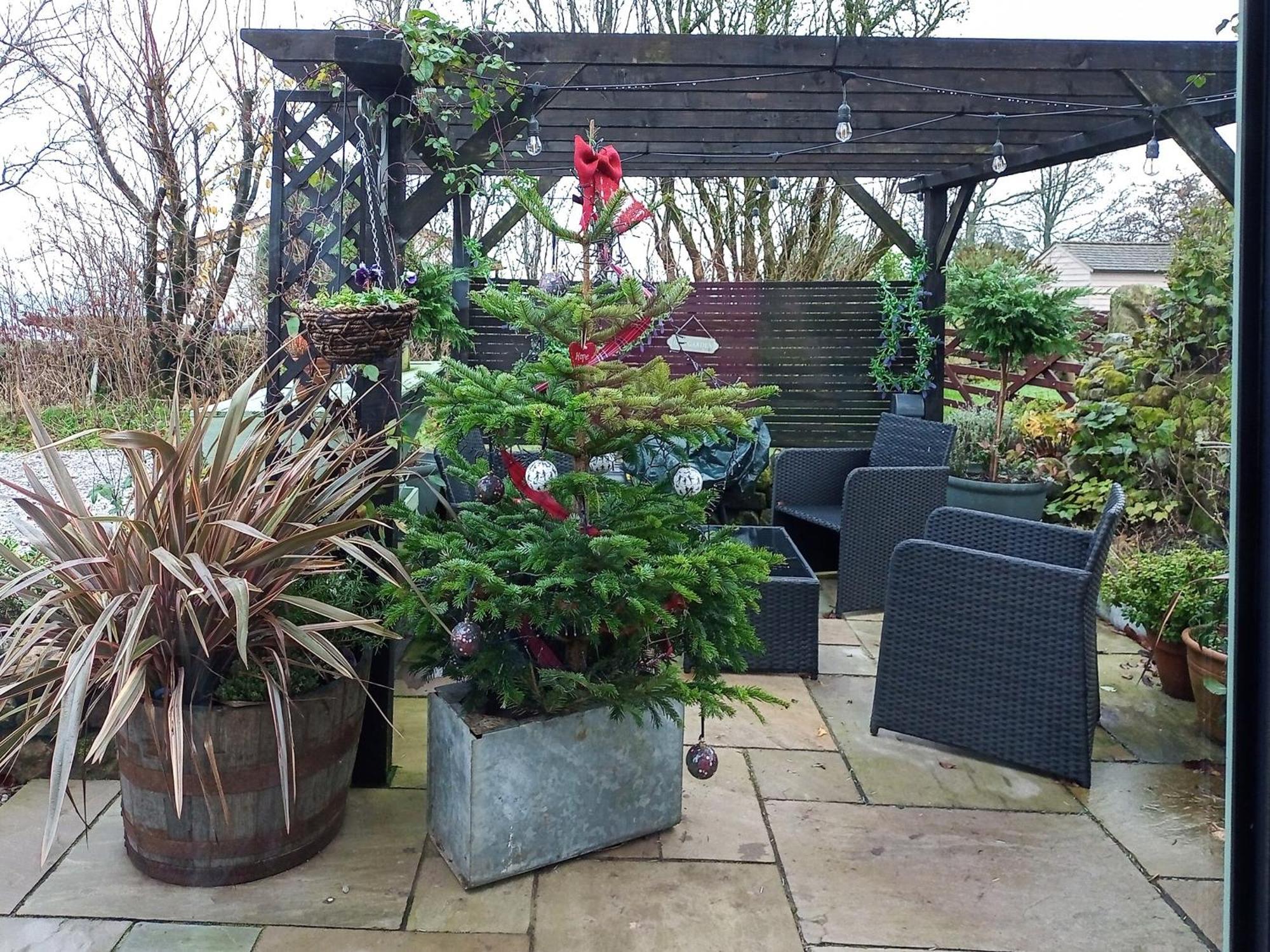 Little Pines Lodge Rushton Spencer Esterno foto